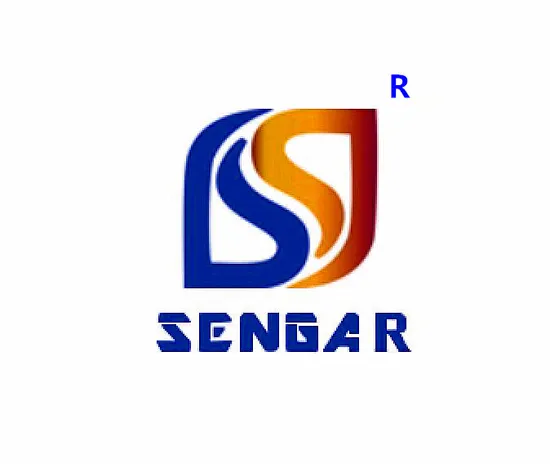 Customization Works for Luxury Cars Car Accessories Tesla Model Y Trunk Mat