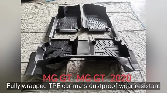 Premium 3D TPE Leather Car Floor Mats for All Vehicles